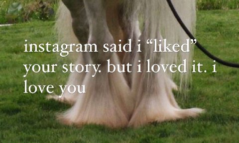 instagram said i “liked” your story. but i loved it. 1 love you