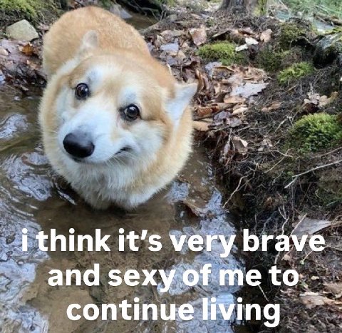 i think it’s very brave and sexy of me to continue living