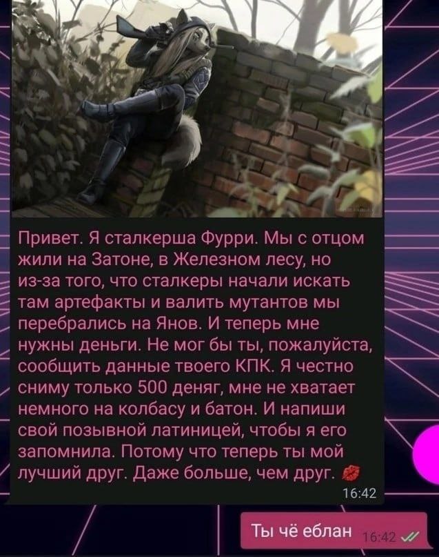 4 У 7 у Привет. Я сталкерша Фурри. Мы сотцом жили на Затоне, в Железном лесу, но из-за того, что сталкеры начали искать там артефакты и валить мутантов мы перебрались на Янов. И теперь мне нужны деньг