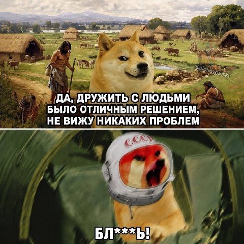 ДА, ДРУЖИТЬ С ЛЮДЬМИ БЫЛО ОТЛИЧНЫМ РЕШЕНИЕМ, НЕ ВИЖУ НИКАКИХ ПРОБЛЕМ БЛ***Ь!