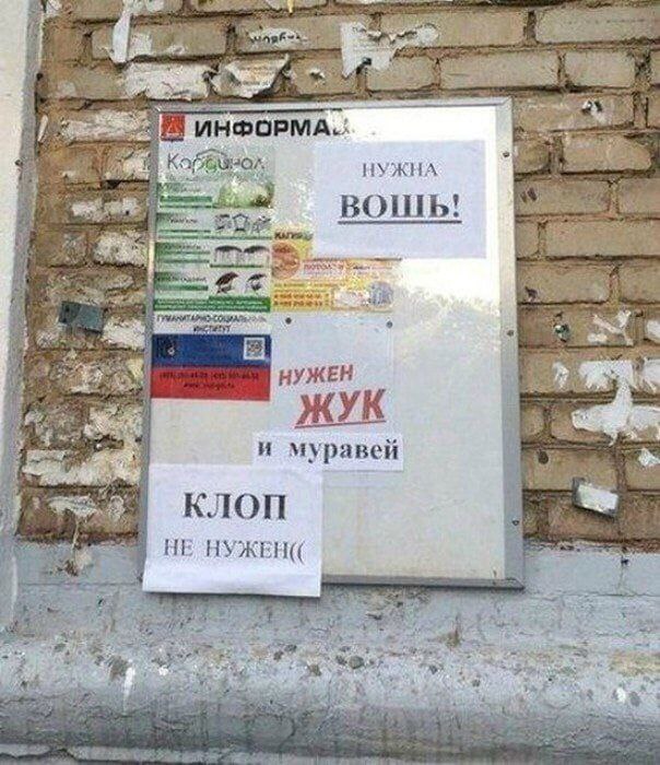 4 ИНФОРМА. вошы НУЖЕН ЖУК 3 hie и муравей клоп НЕ HYKEH(( 4