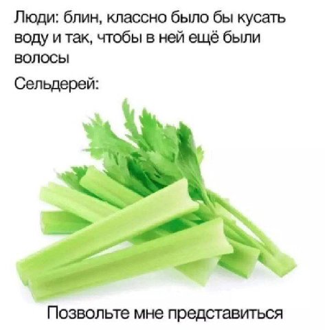 Люди: блин, классно было бы кусать воду и так, чтобы в ней ещё были волосы Сельдерей: Позвольте мне представиться