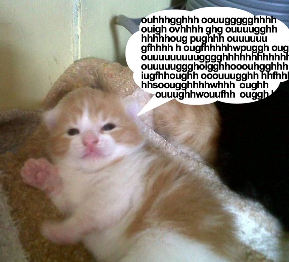ouigh ghg ouuuugghh hhhhhoug pughhh оциииии gfhhhh oug hhhhhhh ouuuuugaghoigg hooouhgghhh iugfhhoughh ooouuugghh hhsoougghhhhwhhh oughh ouggh у