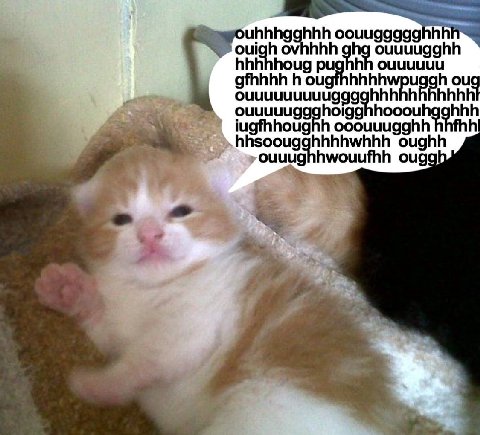 ouigh ghg ouuuugghh hhhhhoug pughhh оциииии gfhhhh oug hhhhhhh ouuuuugaghoigg hooouhgghhh iugfhhoughh ooouuugghh hhsoougghhhhwhhh oughh ouggh у