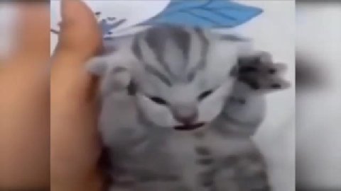 мем
