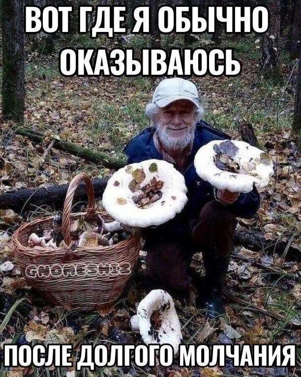 BOT ГДЕЯ ОБЫЧНО ОКАЗЫВАЮСЬ A, ПОСЛЕ ДОЛГОГО МОЛЧАНИЯ