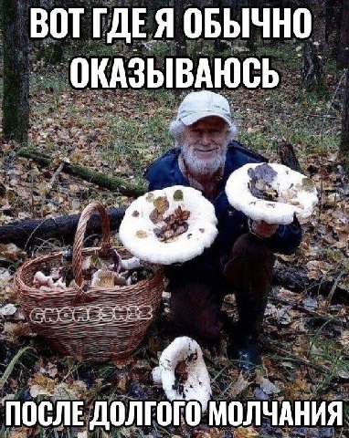 BOT ГДЕЯ ОБЫЧНО ОКАЗЫВАЮСЬ A, ПОСЛЕ ДОЛГОГО МОЛЧАНИЯ