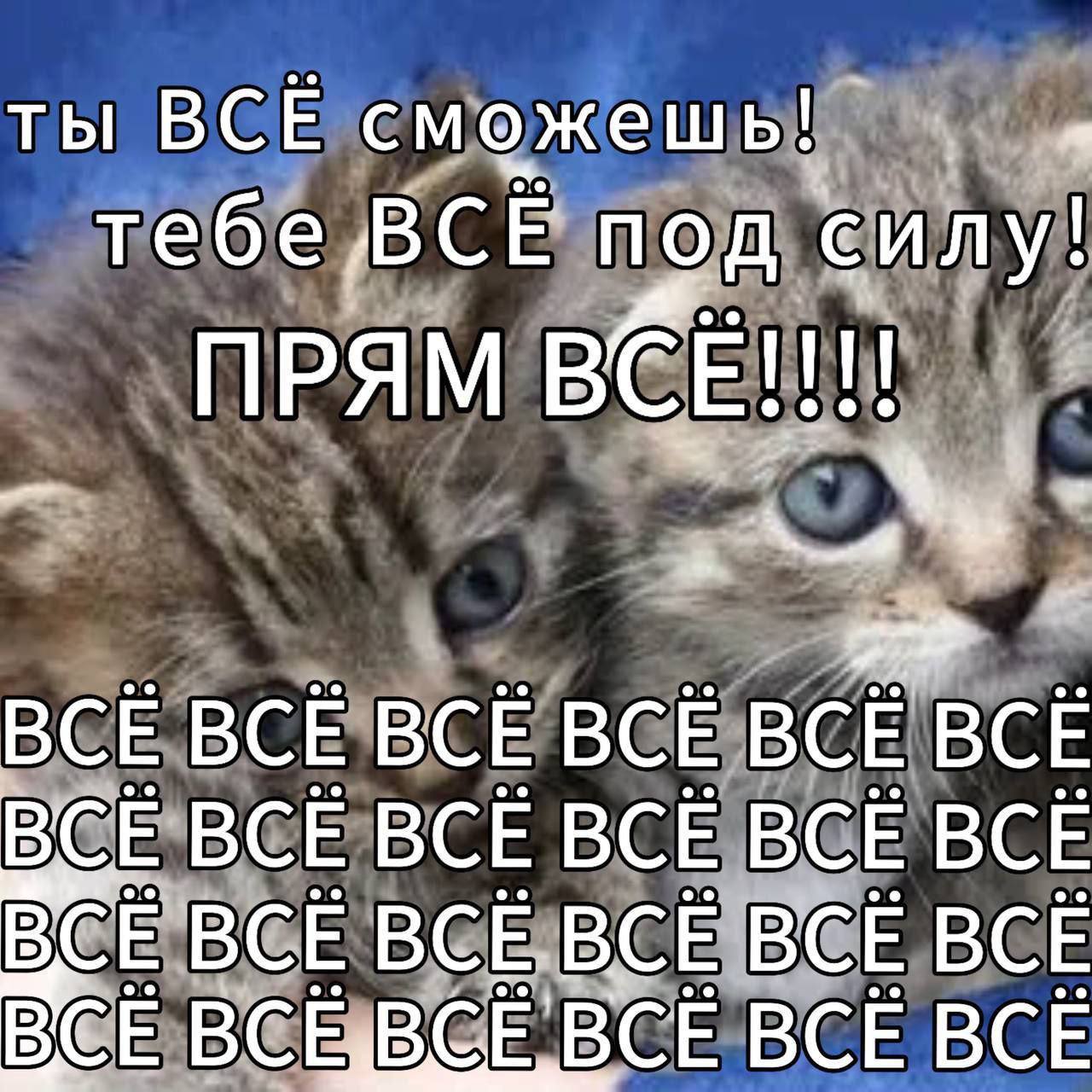 ты ВСЁ тебё ПРЯМ 4 4 ВСЕ ВСЁ ВСЁ ВСЁ ВСЕ BCE ВСЕ-ВСЁ BCE ВСЁ ВСЁ BCE BCE ВСЕ BCE BCE
