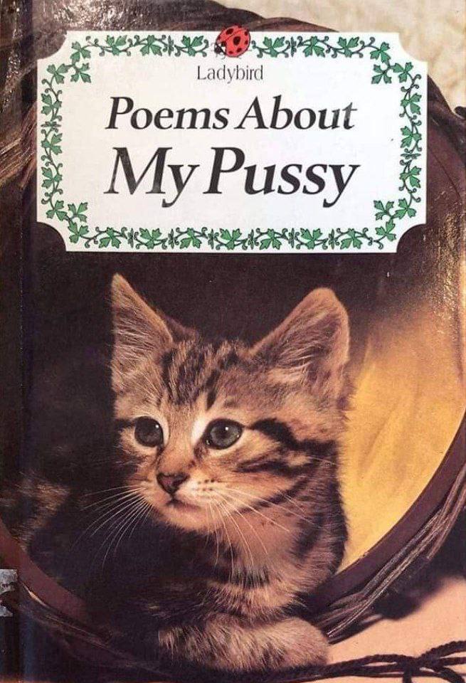 Poems About ussy