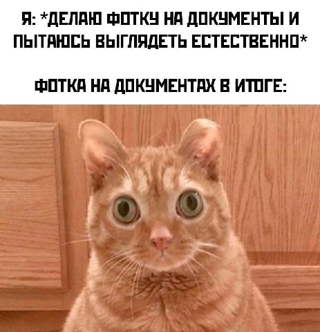 Я: ФОТКУ НА ДОКУМЕНТЫ И ПЫТАЮСЬ ВЫГЛЯДЕТЬ ЕСТЕСТВЕННО* ФОТКА НА ДОКУМЕНТАХ В ИТОГЕ:
