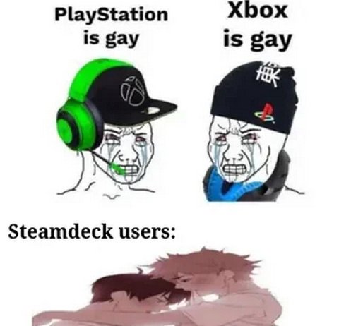 PlayStation Xbox is gay is gay if Steamdeck users
