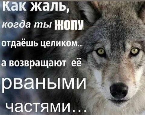 Как жаль, когда ты отдаешь целиком... а возвращают её рваными if частями...