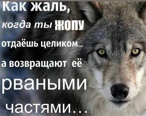 Как жаль, когда ты отдаешь целиком... а возвращают её рваными if частями...