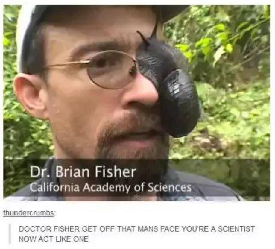 a” Brian Fisher California Academy of Sciences thundercrumbs DOCTOR FISHER GET OFF THAT MANS FACE YOU'RE A SCIENTIST NOW ACT LIKE ONE