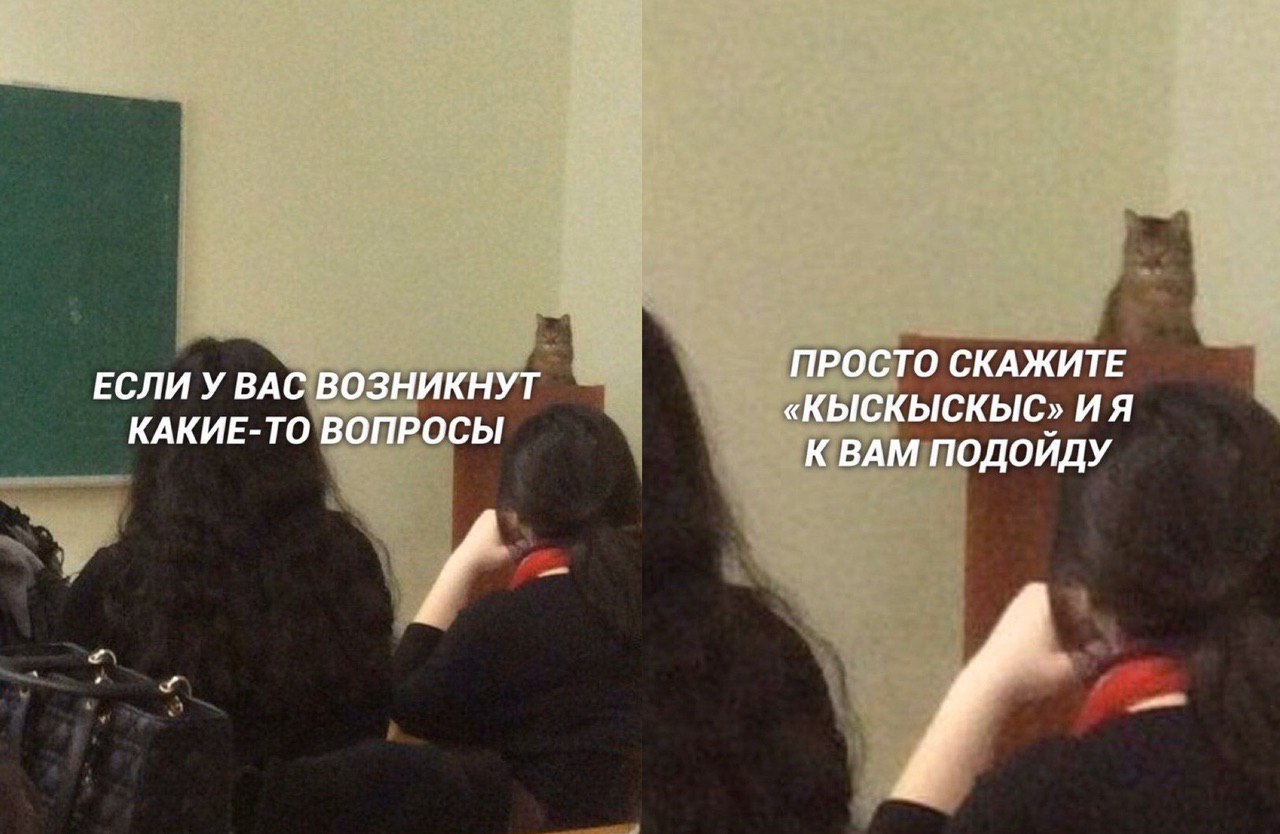 ПРОСТО СКАЖИТЕ ЕСЛИ У ВАС ВОЗНИКНУТ «КЫСКЫСКЫС» КАКИЕ-ТО ВОПРОСЫ К ВАМ ПОДОЙДУ
