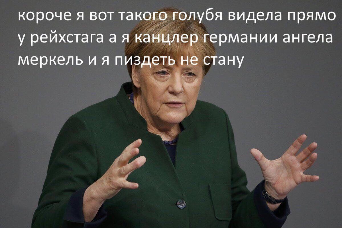 короче я вот такого голубя видела прямо у рейхстага а я канцлер германии ангела меркель и я пиздеть не стану