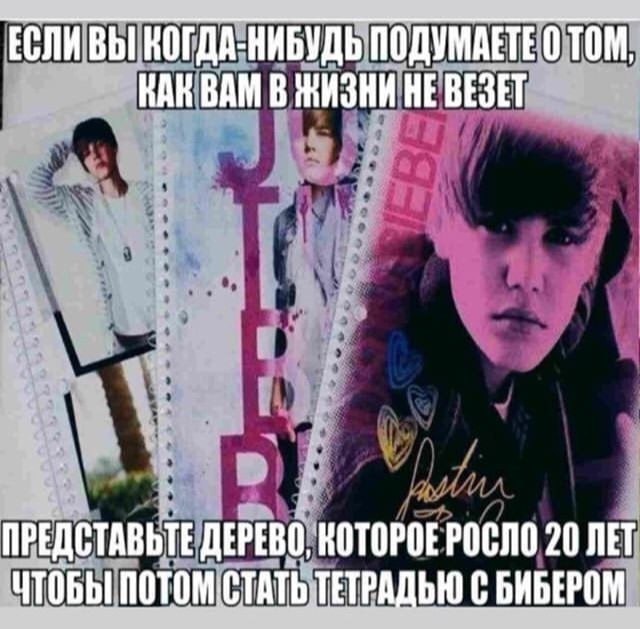 КАКВАМ В ЖИЗНИ HE ВЕЗЕТ ПРЕДСТАВЬТЕ ДЕРЕВО, КОТОРОЕРОСЛО 20 ЛЕТ ЧТОБЫ С БИБЕРОМ
