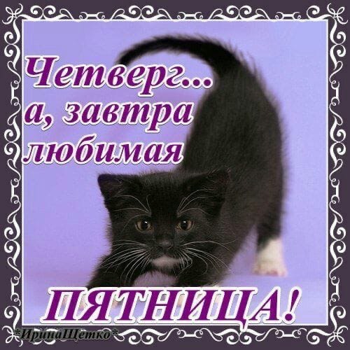 ‚Четверг... (a, завтра любимая 6 О НИЦА!