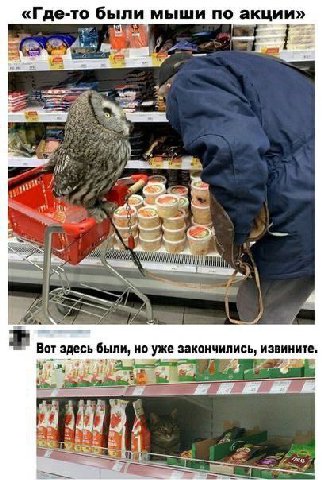 «Где-то были мыши по акции» Вот здесь были, но уже закончились, извините. я 44