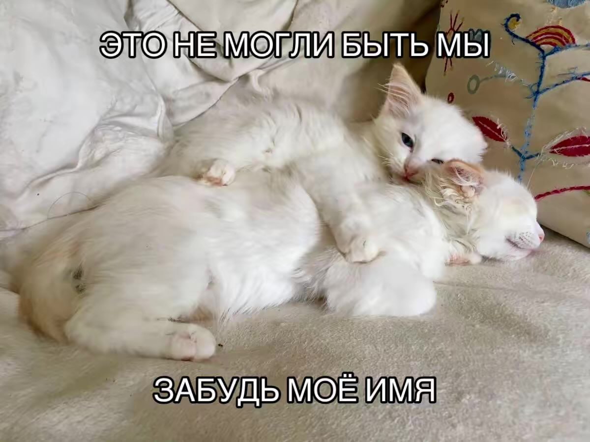 БЫТЬ МЫ ЗАБУДЬ МОЕ ИМЯ