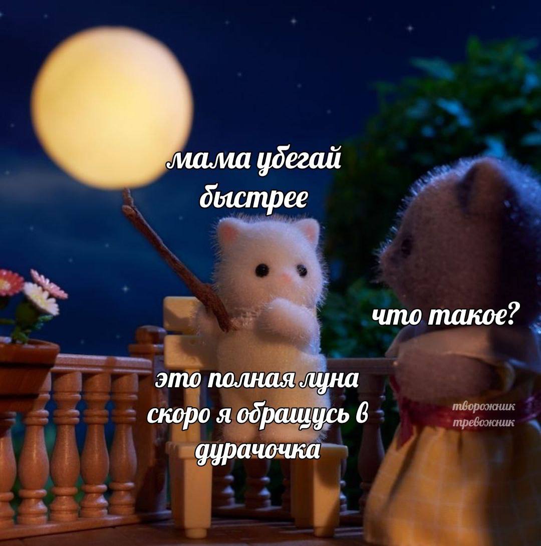 ибегай быстрее что такое? это полная луна скоро я обрашусь 6 дурачочка