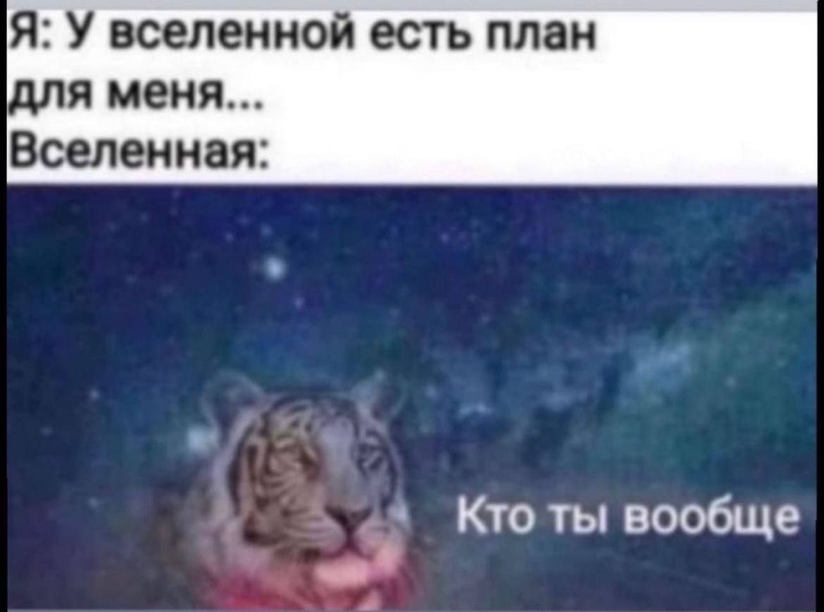 Я: У вселенной есть план для меня Вселенная 4 Кто ты вообще