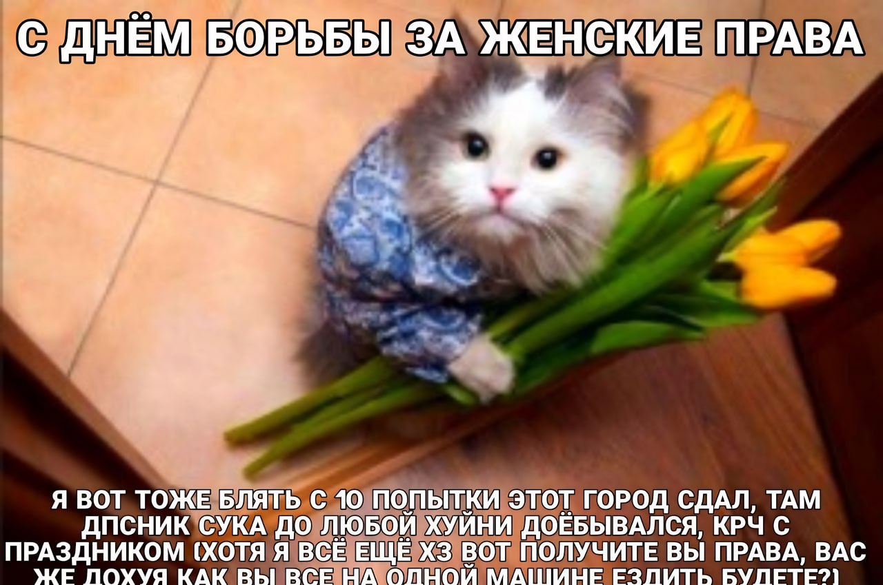С ДНЕМ БОРЬБЫ ЗА ЖЕНСКИЕ ПРАВА a 3 2 Я ВОТ ТОЖЕ БЛЯТЬ С 10 ПОПЫТКИ ЭТОТ ГОРОД СДАЛ, TAM ДПСНИК СУКА ДО ЛЮБОИ ХУИНИ ДОЕБЫВАЛСЯ, КРЧ С ПРАЗДНИКОМ (ХОТЯ Я ВСЕ ЕЩЕ ВОТ ПОЛУЧИТЕ ВЫ ПРАВА, ВАС ЖЕ ЛОХУЯ КАК 