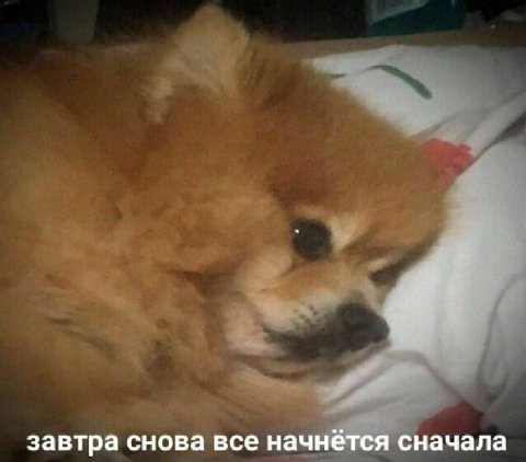 завтра снова все начнётся сначала