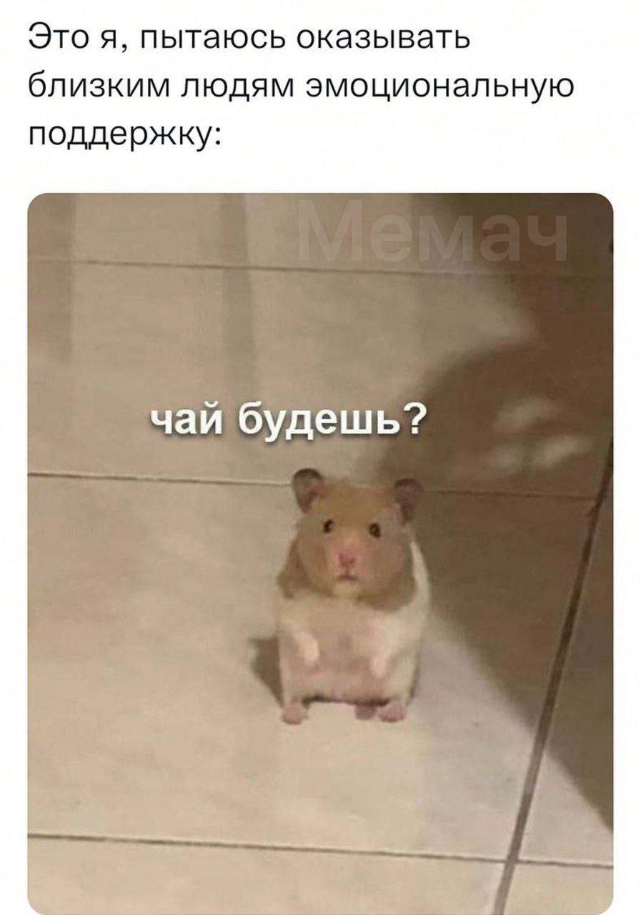 Это я, пытаюсь оказывать близким людям эмоциональную поддержку: чаи оудешь?