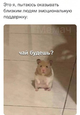 Это я, пытаюсь оказывать близким людям эмоциональную поддержку: чаи оудешь?