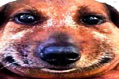 к 3 3 a 4 у 4 А 5 к к