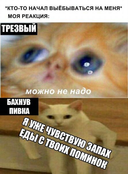 *КТО-ТО НАЧАЛ ВЫЁБЫВАТЬСЯ НА МЕНЯ МОЯ РЕАКЦИЯ: ТРЕЗВЫЙ БАХНУВ можно не надо ПИВНА С No