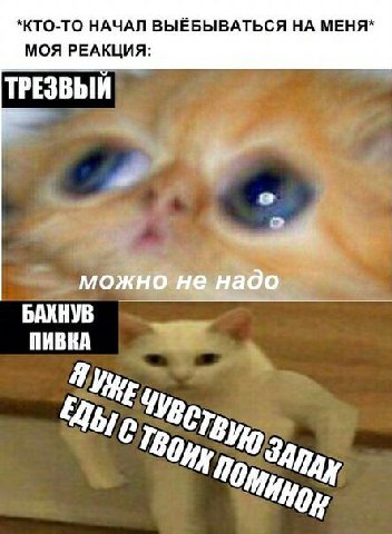 *КТО-ТО НАЧАЛ ВЫЁБЫВАТЬСЯ НА МЕНЯ МОЯ РЕАКЦИЯ: ТРЕЗВЫЙ БАХНУВ можно не надо ПИВНА С No