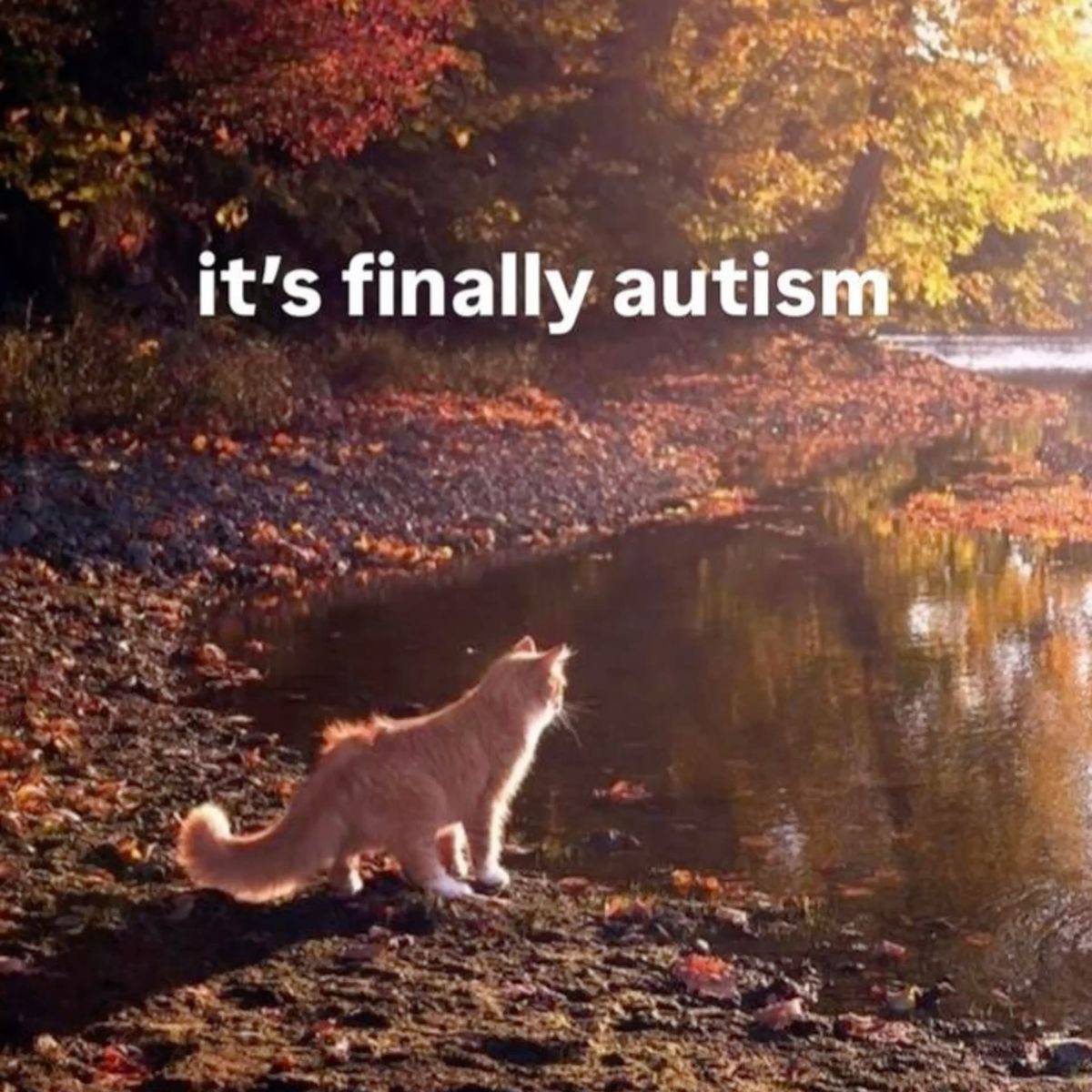 i it's finally autism
