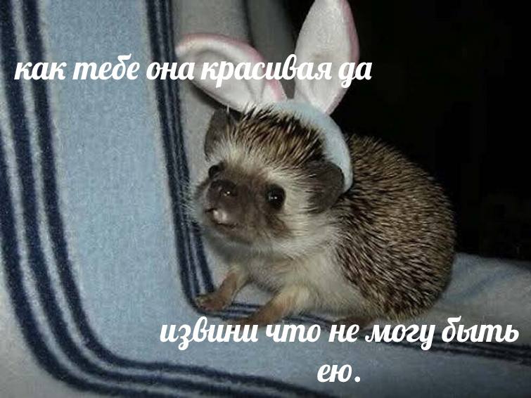 как тебе она красивая да извини что не могу дыть