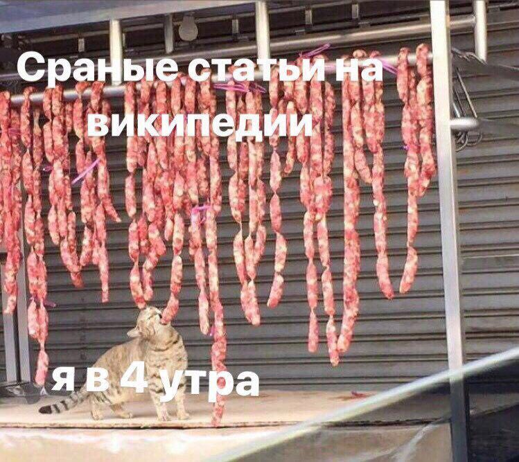 Сраные 44 i hoe википедии; a 1 4 2 i if BAYT;