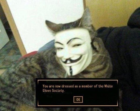 👤 empörung