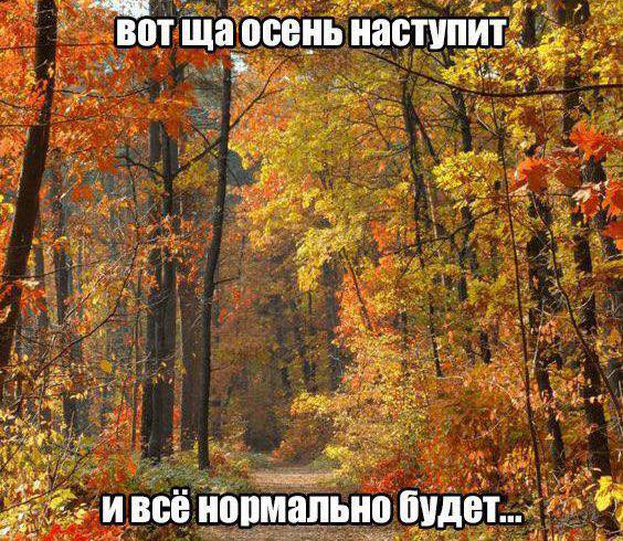 “BOT осень наступит A 4 всё нормально будет...