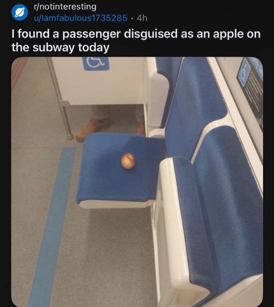 u/lamfabulous1735285 found a passenger disguised as an apple on the subway today