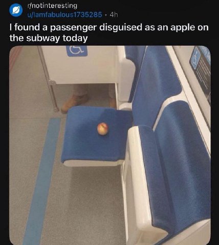 u/lamfabulous1735285 found a passenger disguised as an apple on the subway today