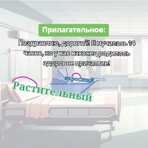 родилось, астит