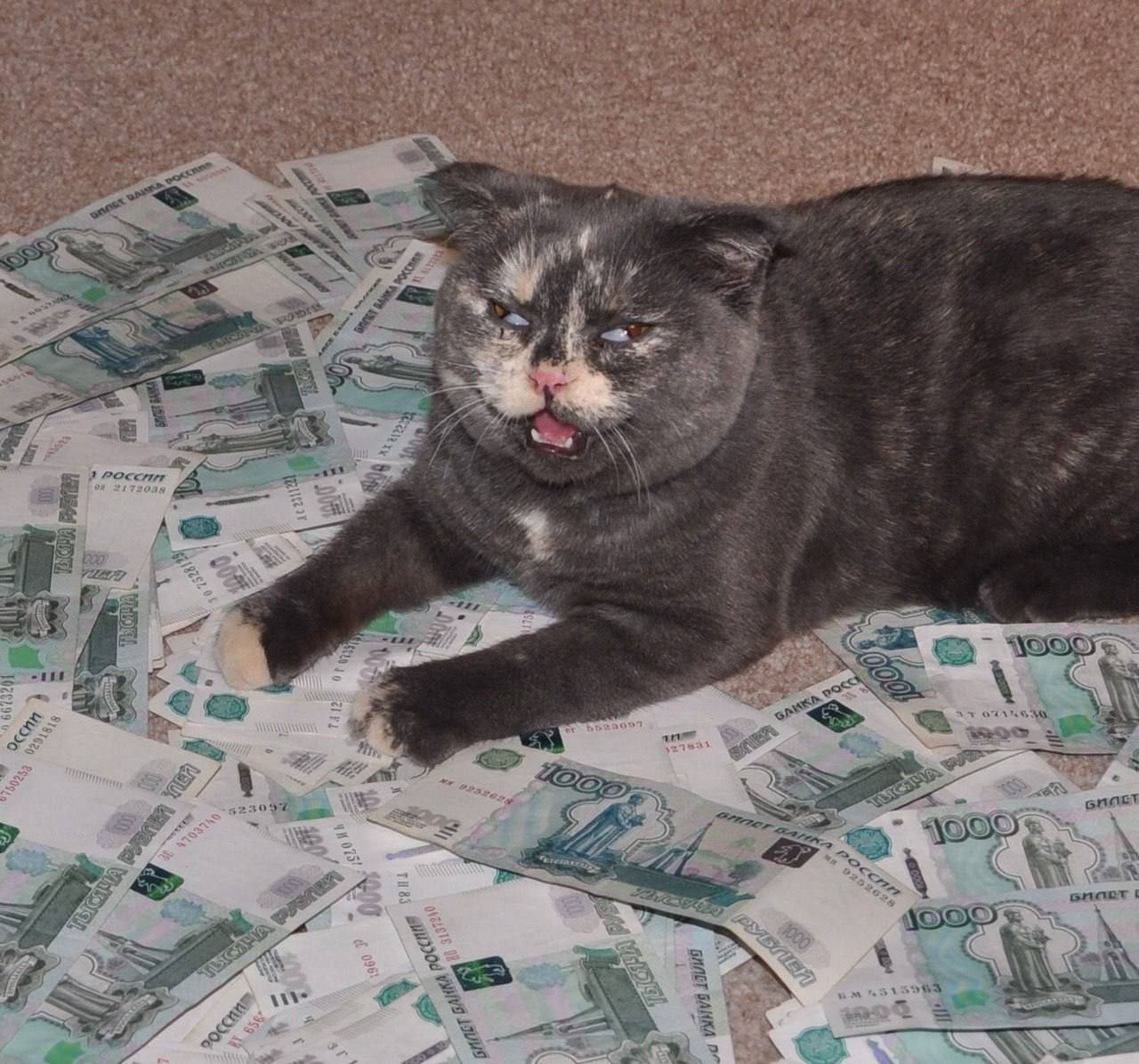 2 4