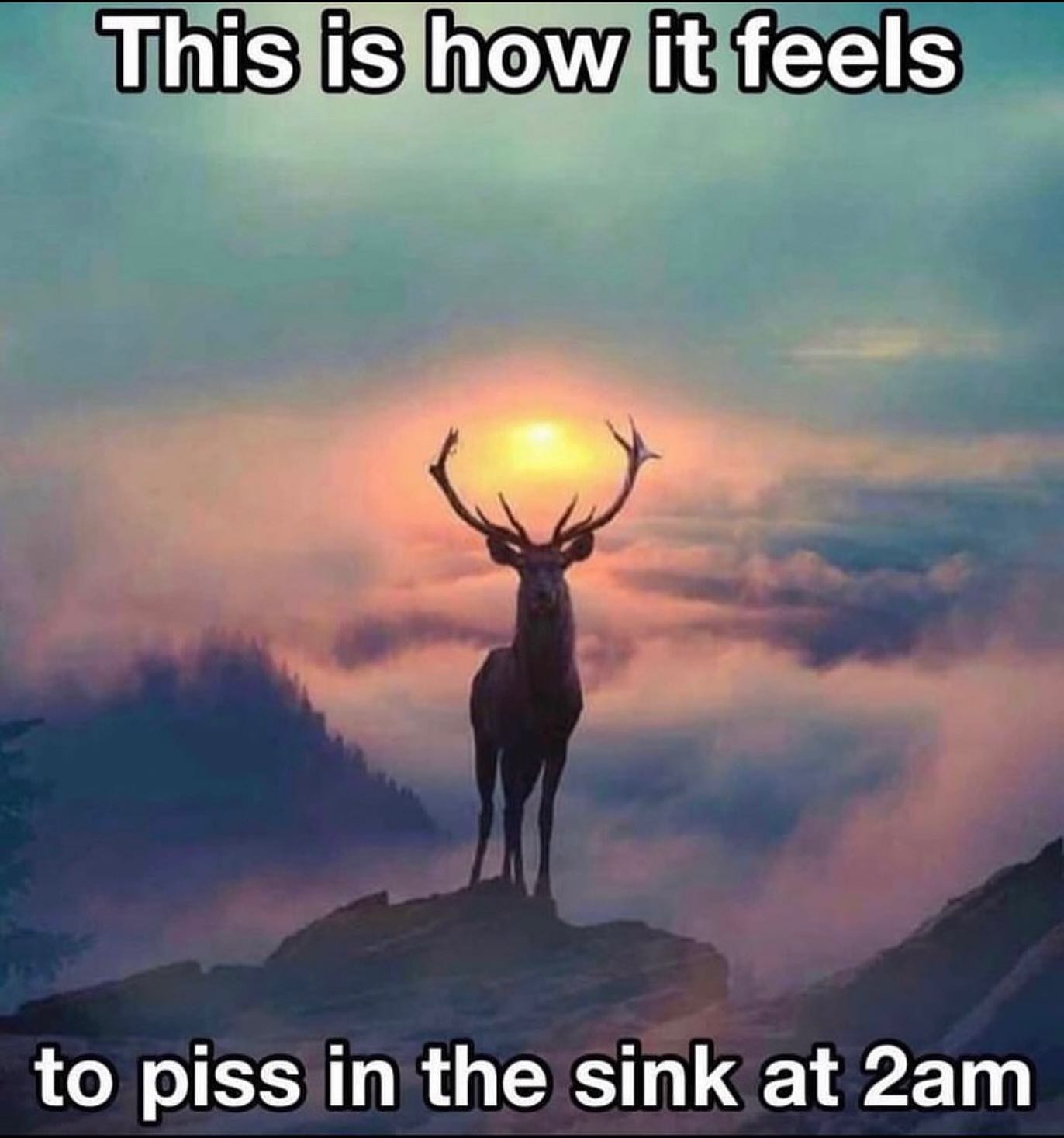 This is how it feels to piss in the sink at