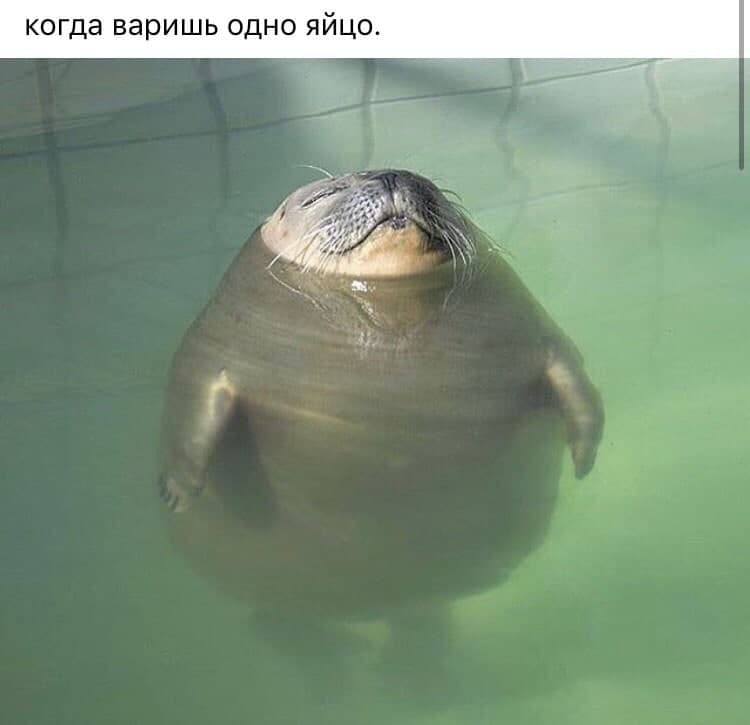 когда варишь одно яйцо.