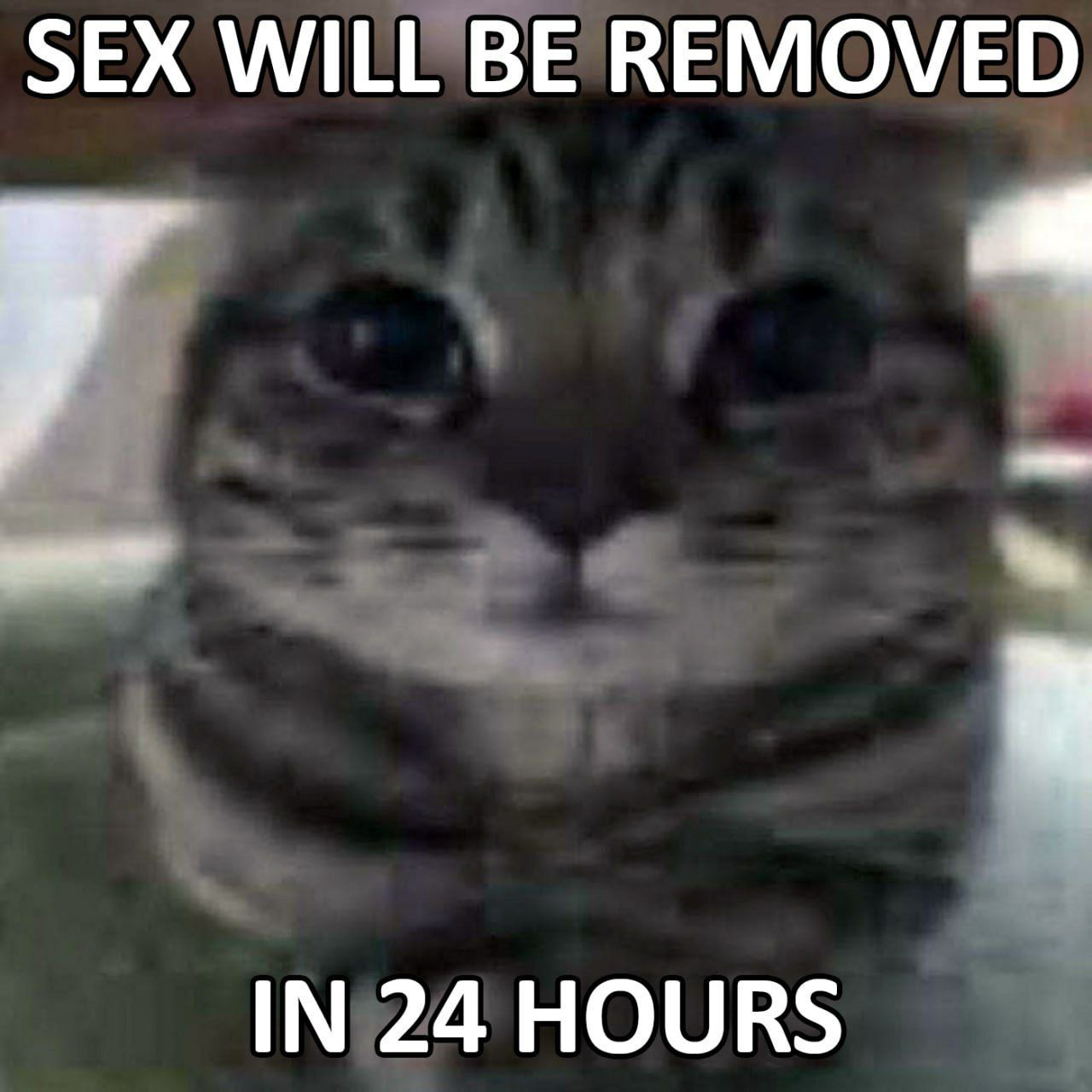 SEX WILL BE REMOVED IN 24 HOURS