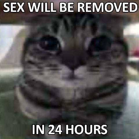 SEX WILL BE REMOVED IN 24 HOURS