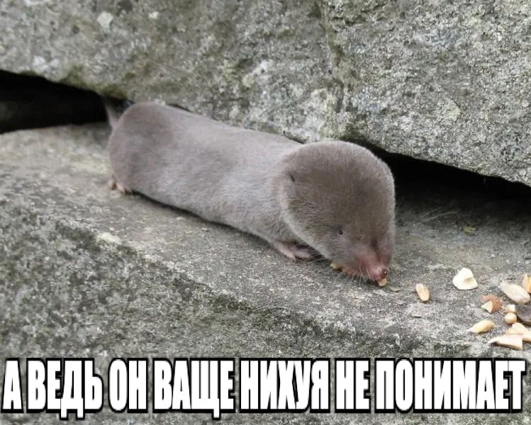 3. a: „2 tat wey wey 3224, 4 a 1% at a’ 3 as a A BE On НИКУАНЕ ПОНИМА me