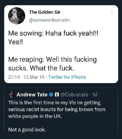 The Golden Sir @screaminbutcalm Me sowing: Haha fuck yeah!!! Me reaping: Well this fucking sucks. What the fuck. 21:14 12 Mar 19 Twitter for iPhone Andrew Tate В @Cobratate This is the first time in m