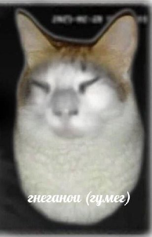 В