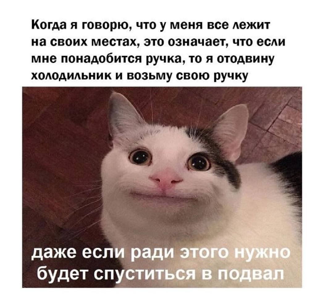 Когда я говорю, что у меня все лежит на своих местах, это означает, что если мне понадобится ручка, то я отодвину холодильник и возьму свою ручку даже если рад будет спусти